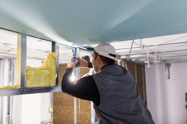 Types of Insulation We Offer in Walterboro, SC