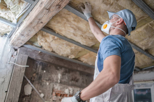 Best Insulation Maintenance and Repair in Walterboro, SC