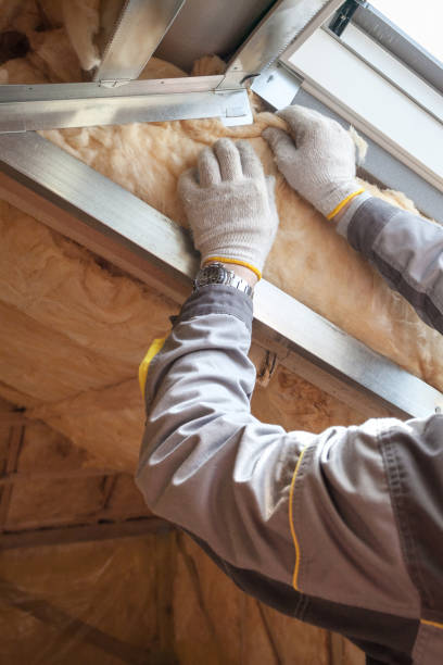 Trusted Walterboro, SC Insulation Contractor Experts