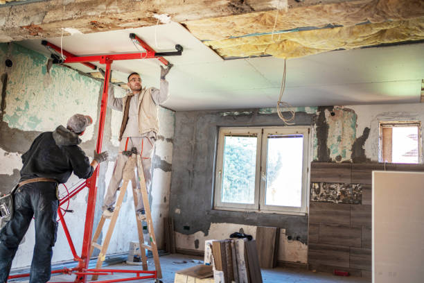 Best Eco-Friendly Insulation in Walterboro, SC