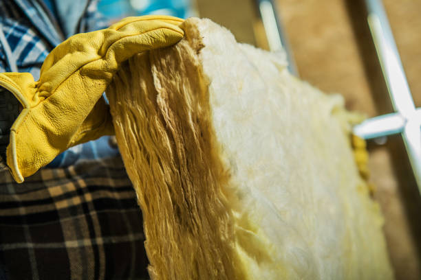 Best Energy Efficiency Insulation in Walterboro, SC