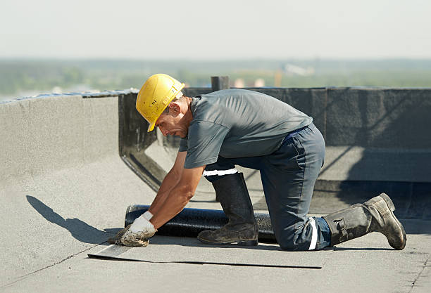 Best Geographic-Specific Insulation Services in Walterboro, SC