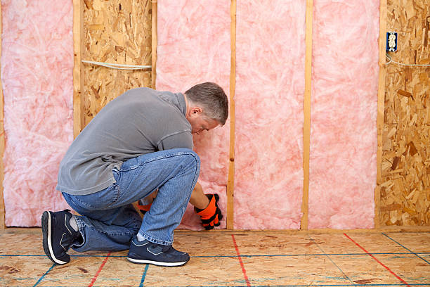Best Specialized Insulation Services in Walterboro, SC