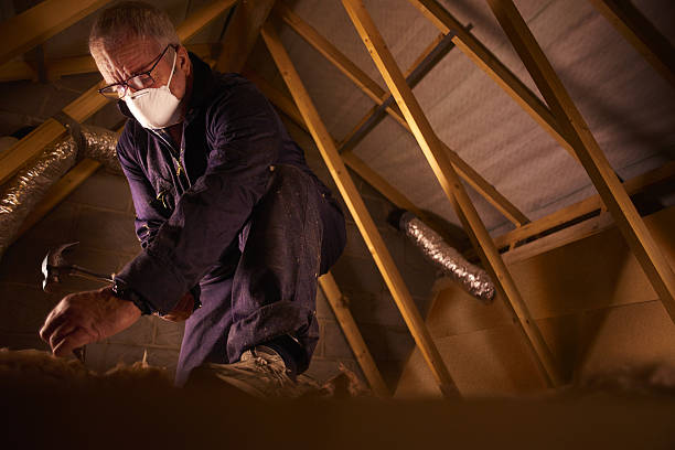 Best Residential Insulation in Walterboro, SC