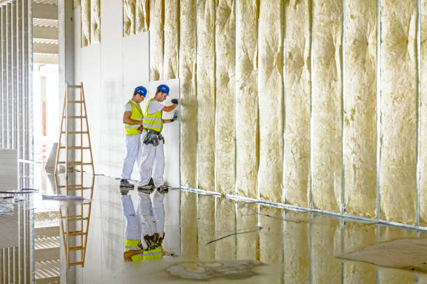 Best Spray Foam Insulation in Walterboro, SC